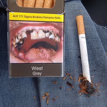 West Sigarada Sürekli Odun Parçası Sorunu Ve Yetersiz Çözüm