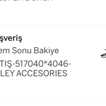 Asley Accessories & Cafe Çelik Küpe Renk Değişimi