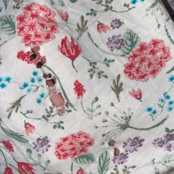 Bosch Çamaşır Makinesi Kıyafetlerimi Yırtıyor, Servis Sorunu Kabul Etmiyor