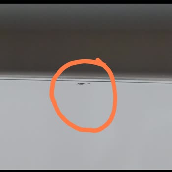 Profilo Servis Ve Bayi İlgisizliği: Çizilen Buzdolabı Kapağı Mağduriyeti