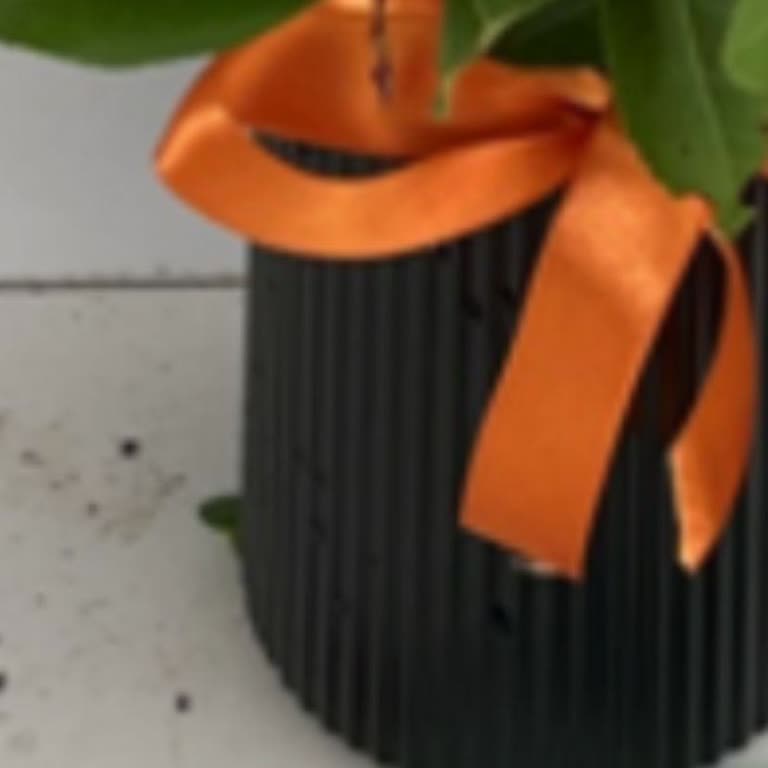 Çiçek Sepeti'nden Eksik Ve Hatalı Ürün, İlgisiz Müşteri Hizmeti