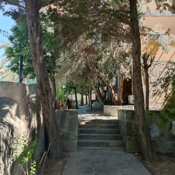 Eki aç