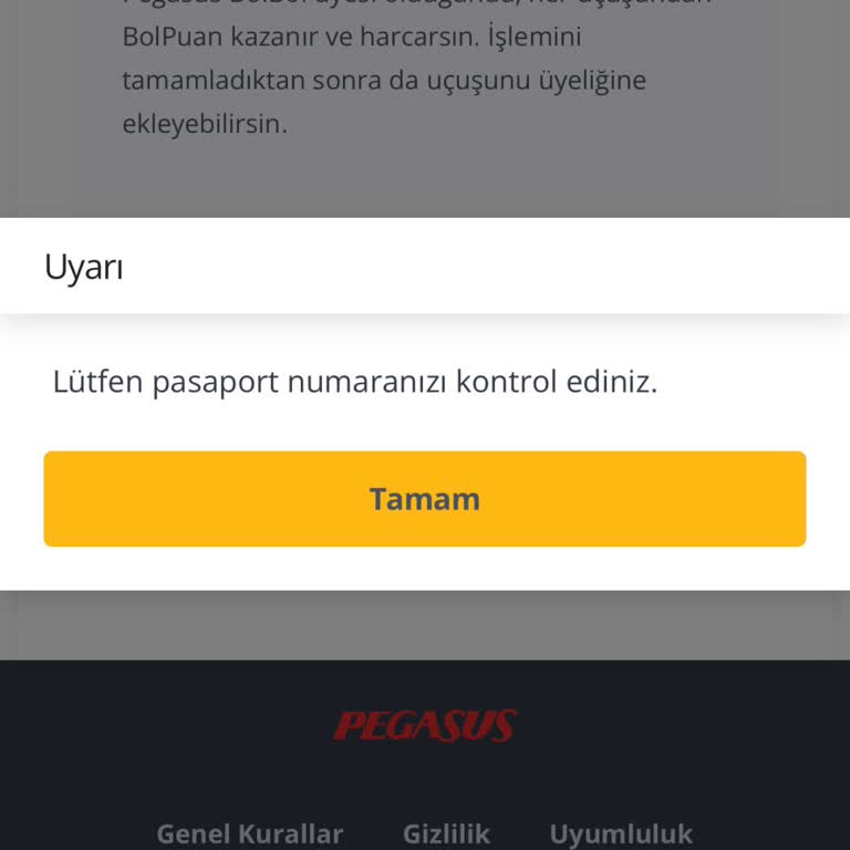 Yurtiçi Uçuşta Pasaport Hatası Ve Müşteri Hizmetlerine Ulaşılamıyor