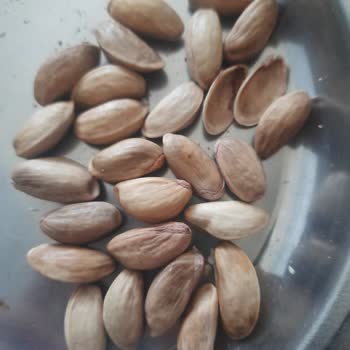 Nut Master Ambalajlı Antep Fıstığında Çok Sayıda Kapalı Ürünle Karşılaştım Hayal Kırıklığına Uğradım