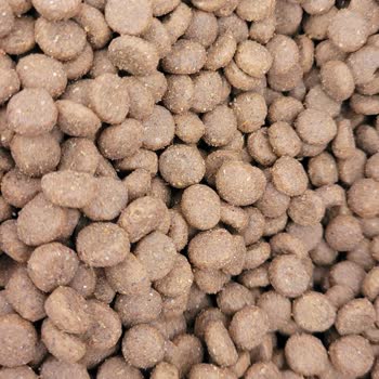 Virbac Mama Paketlerinde Tutarsızlık Ve Güven Sorunu