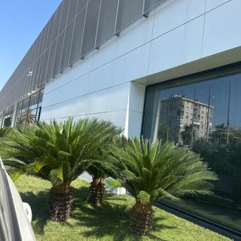 BMW Özgörkey Bornova'da Cam Değişimi Sırasında Yaşanan İlgisizlik