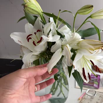 Çiçek Sepetinden Gelen Solmuş Çiçek Hayal Kırıklığı