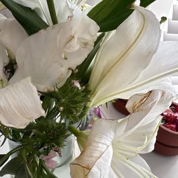 Çiçek Sepetinden Gelen Solmuş Çiçek Hayal Kırıklığı