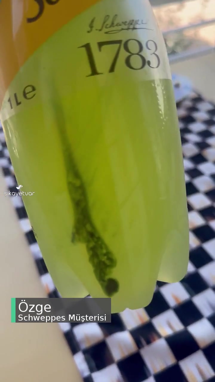 Schweppes Limonda Yeşil Tortular! videonun kapak resmi