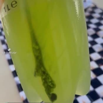 Schweppes Limonda Yeşil Tortular!
