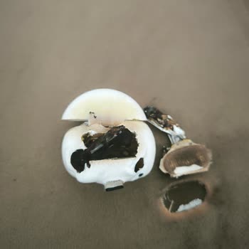 BİM'den Alınan Elektronik Ürünle Yaşanan Güvenlik Sorunu Ve İlgisizlik