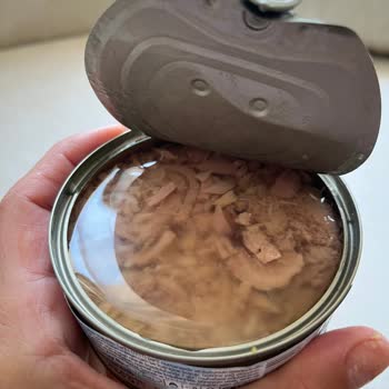 Migros Markalı Ton Balığında Etiket Ve İçerik Uyuşmazlığı