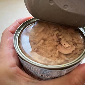 Migros Markalı Ton Balığında Etiket Ve İçerik Uyuşmazlığı