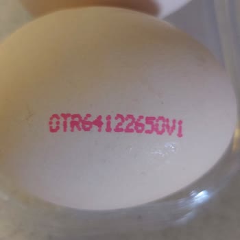 Yumurtacım Getir'den Aldığım Organik Yumurtadan Çıkan Sağlıksız Ürün Şoku