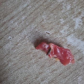 Siparişimdeki Notlar Dikkate Alınmıyor Ve Hijyen Sorunu Yaşadım