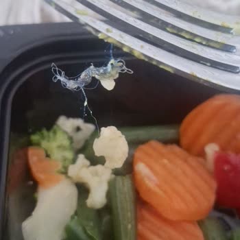 Tavuk Dünyası Yemekte Kıl Topağı Şoku: Hijyen Skandalı!