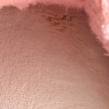 Twigy Terliklerin Kalitesizliği Ve Müşteri Hizmetlerinin İlgisizliği