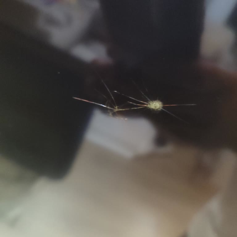 Media Markt Sigorta Kapsamında Kırılan Televizyonumun Yenisiyle Değişimini Yapmıyor