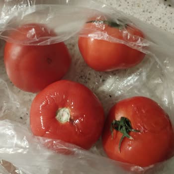 Çetinkaya Market Trendyol Marketten Gelen Çürük Ürünler Ve İade Sorunu