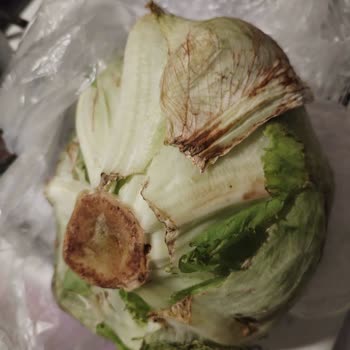 Çetinkaya Market Trendyol Marketten Gelen Çürük Ürünler Ve İade Sorunu