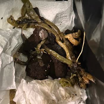 Çürük Orkide, Sinekler Ve Kötü Koku İle Büyük Hayal Kırıklığı