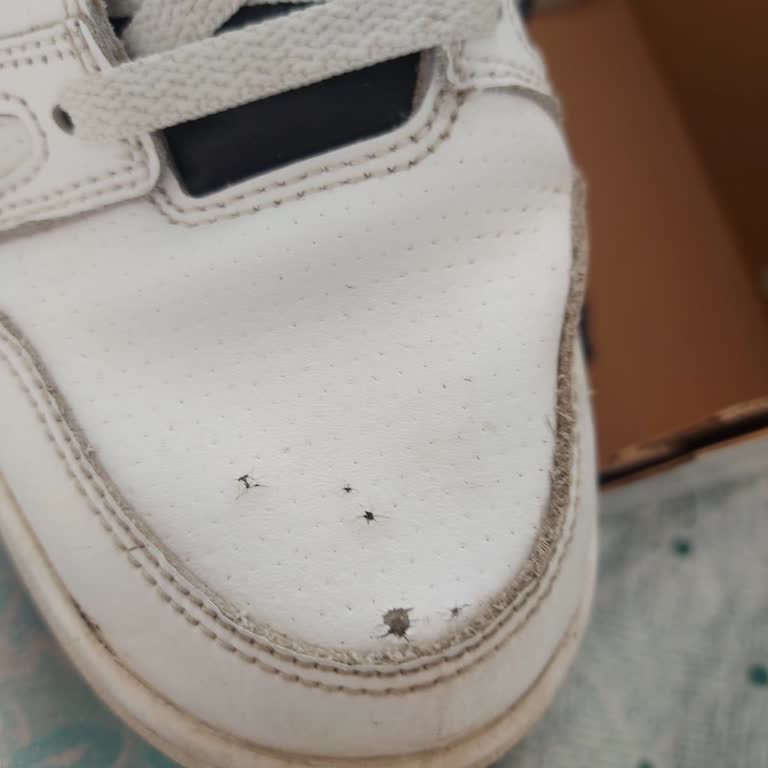 Kısa Sürede Soyulan Nike Ayakkabının Değişimi Reddedildi