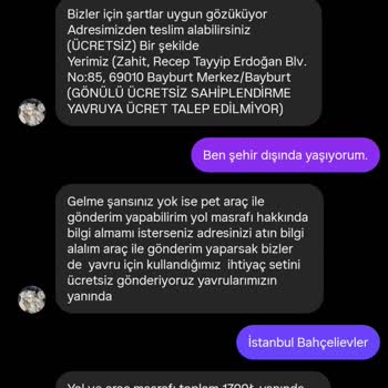 Instagram'da Ücretsiz Sahiplendirme Vaadiyle Ücret Talep Edilmesi Mağduriyet Yaratıyor