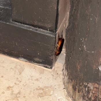 Martı Resort Hotel Temizliği ve Hizmet Kalitesi Hayal Kırıklığı Yarattı