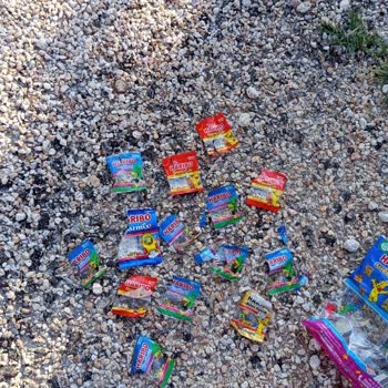 Haribo Süper Mix Paketinde Eksik Çeşit Şikayeti