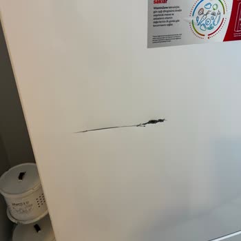 Yeni Alınan Buzdolabında Çizik, Pas Ve Servis Mağduriyeti Yaşadım