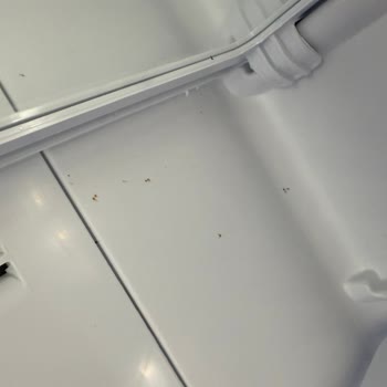 Yeni Alınan Buzdolabında Çizik, Pas Ve Servis Mağduriyeti Yaşadım