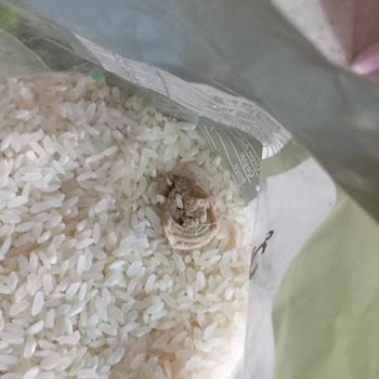 A101den Alınan Pirinçte Yabancı Madde Ve Değişim Mağduriyeti