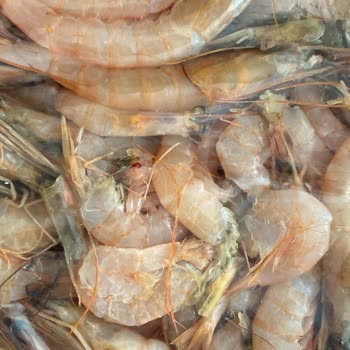 Siparişin Kapı Önüne Bırakılması Ve Temizlenmemiş Karides Teslimatı Nedeniyle Yaşanan Mağduriyet