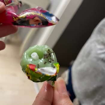Toybox Lolipoptan Çıkan Böcekler Çocukları Şaşkına Çevirdi