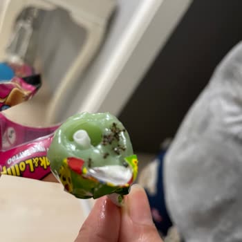 Toybox Lolipoptan Çıkan Böcekler Çocukları Şaşkına Çevirdi