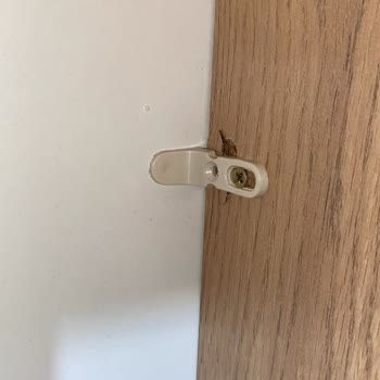 Mondi'den Satın Aldığım Gardırop Kurulumunda Yaşanan Sorun Ve İlgisizlik