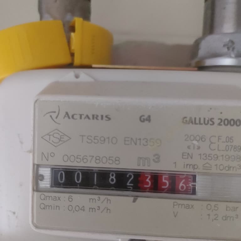 İzgaz Yanlış Okunan Doğalgaz Faturası Ve İlgisiz Dağıtım Personeli