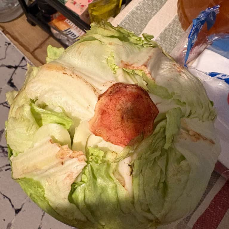 Teslim Edilen Ürünlerin Tazeliği Ve İade Sürecinde Yaşanan Sorunlar