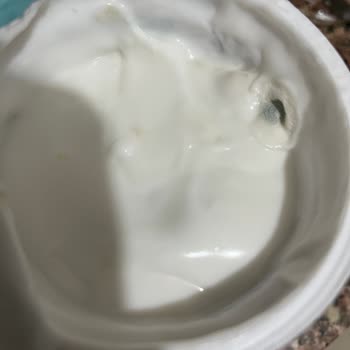 Son Kullanma Tarihi Geçmemiş Vegan Yoğurtta Küf Sorunu