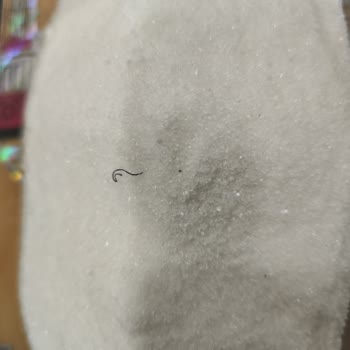 Aldığım Toz Şekerden Yabancı Maddeler Çıktı, Kullanamadım