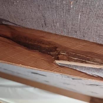 Senetsepet.com Lima Koltuk Şikayeti