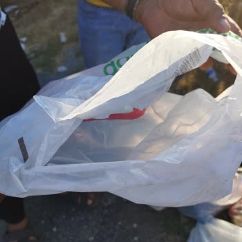 BİM'den Aldığım Poşetler Dayanıksız Çıktı, Alışverişim Ziyan Oldu!