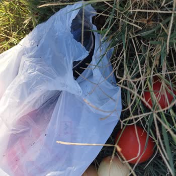 BİM'den Aldığım Poşetler Dayanıksız Çıktı, Alışverişim Ziyan Oldu!