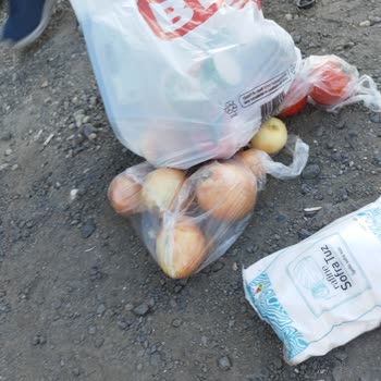 BİM'den Aldığım Poşetler Dayanıksız Çıktı, Alışverişim Ziyan Oldu!