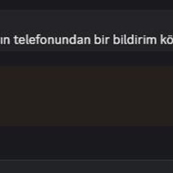 Discord'da Kardeşime Yönelik Tehdit Ve Kişisel Bilgi Paylaşımı Endişesi