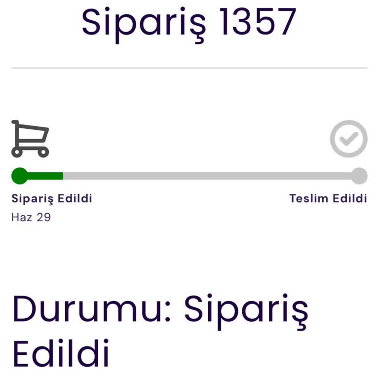 Sipariş Var, Teslimat Yok: Çocuk Mayosu Hâlâ Elime Ulaşmadı