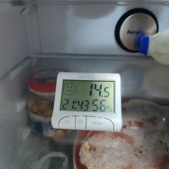 Beko Buzdolabı Soğutmuyor, Yiyeceklerimiz Bozuldu