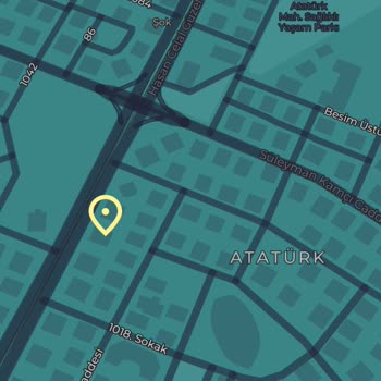 Otomatik Güvenli İnternet Nedeniyle İnternet Kesintisi Ve Düşük Hız Sorunu