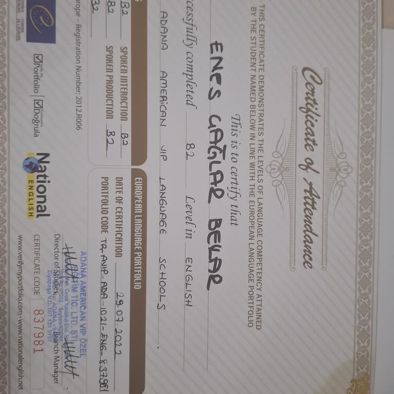 Sertifika Seviyem Yanlış Görünüyor: Hatalı Bilgilendirme Sorunu