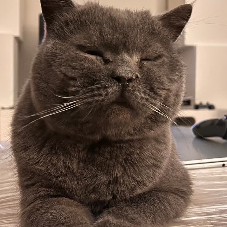 Kaba Davranış Ve Randevu İptaliyle Mağduriyet